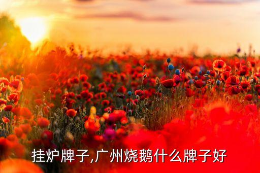 烤鹅挂炉牌子,广州烧鹅什么牌子好?
