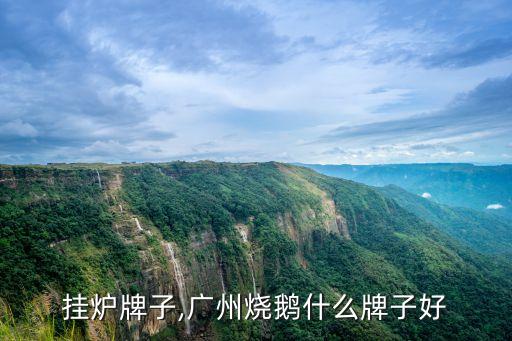 挂炉牌子,广州烧鹅什么牌子好