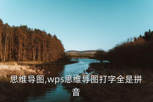拼音思维导图,wps思维导图打字全是拼音