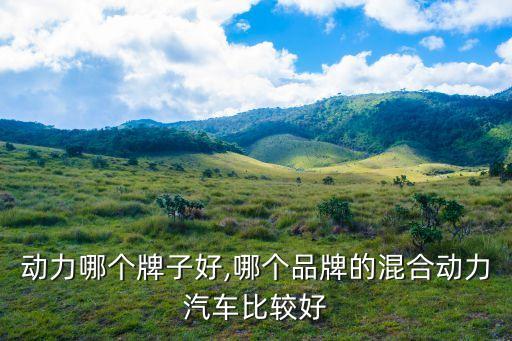 动力哪个牌子好,哪个品牌的混合动力汽车比较好