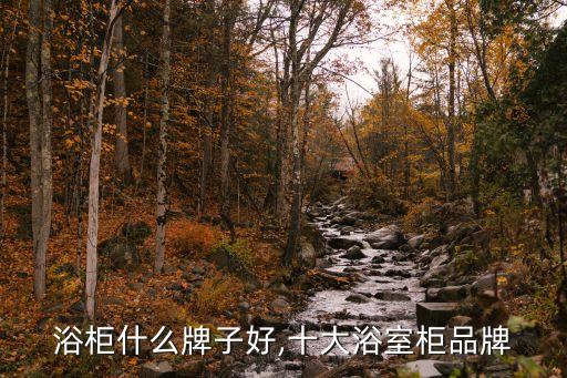 定制浴柜什么牌子好,十大浴室柜品牌