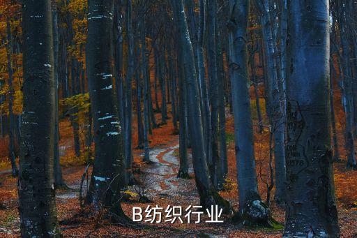 RIB纺织行业