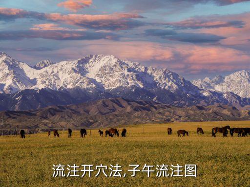 流注开穴法,子午流注图