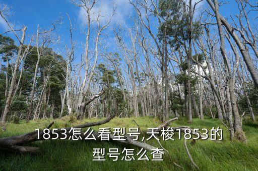1853怎么看型号,天梭1853的型号怎么查