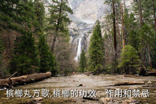 木香槟榔丸方歌,槟榔的功效、作用和禁忌