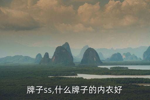 内衣牌子ss,什么牌子的内衣好?