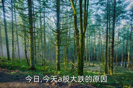 今日,今天a股大跌的原因