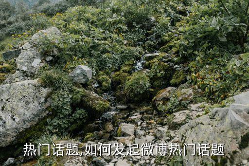 微博热门话题,如何发起微博热门话题