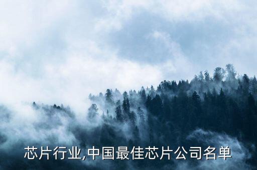 深圳芯片行业,中国最佳芯片公司名单