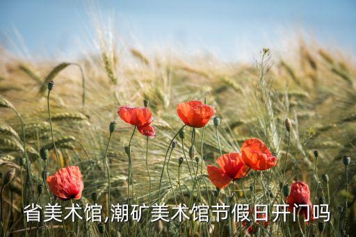 福建省美术馆,潮矿美术馆节假日开门吗?