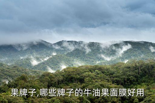 果牌子,哪些牌子的牛油果面膜好用