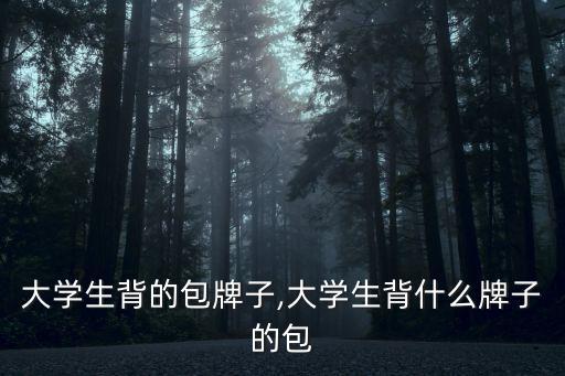 适合大学生背的包牌子,大学生背什么牌子的包?