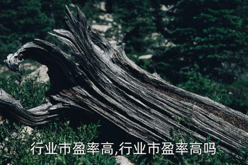 行业市盈率高,行业市盈率高吗