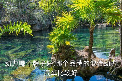 动力哪个牌子好,哪个品牌的混合动力汽车比较好