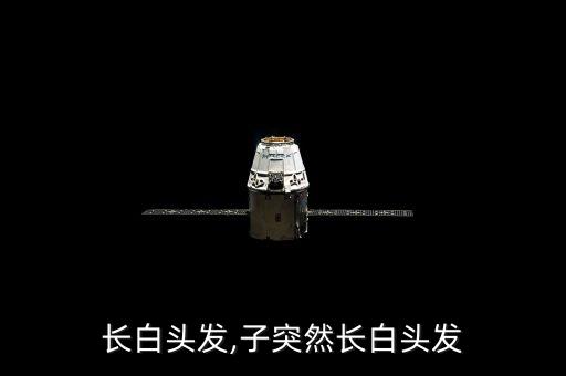 突然长白头发,子突然长白头发