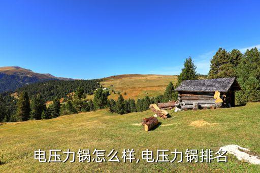 奔腾电压力锅怎么样,电压力锅排名