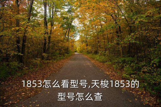 1853怎么看型号,天梭1853的型号怎么查