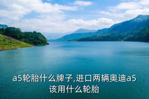 a5轮胎什么牌子,进口两辆奥迪a5该用什么轮胎