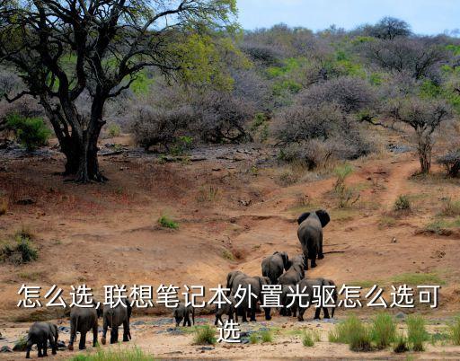 怎么选,联想笔记本外置光驱怎么选可选