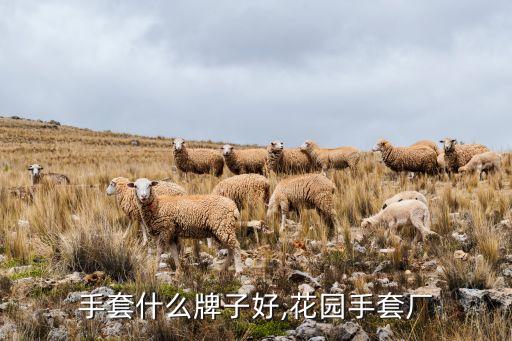 手套什么牌子好,花园手套厂