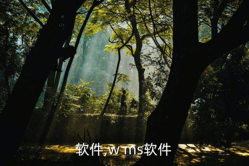 软件,w ms软件