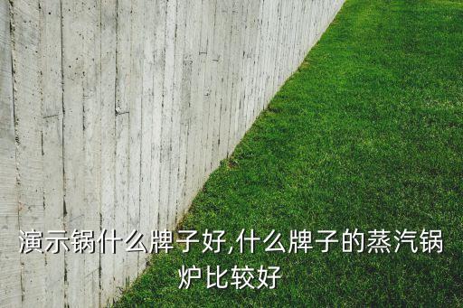 蒸气演示锅什么牌子好,什么牌子的蒸汽锅炉比较好?