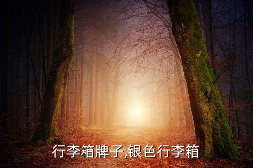 行李箱牌子,银色行李箱