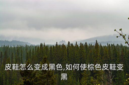 棕色皮鞋怎么变成黑色,如何使棕色皮鞋变黑
