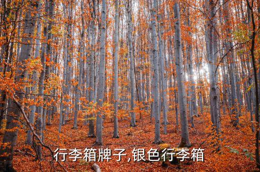 银色行李箱牌子,银色行李箱