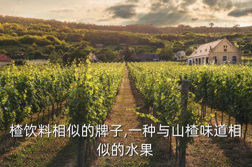 楂饮料相似的牌子,一种与山楂味道相似的水果