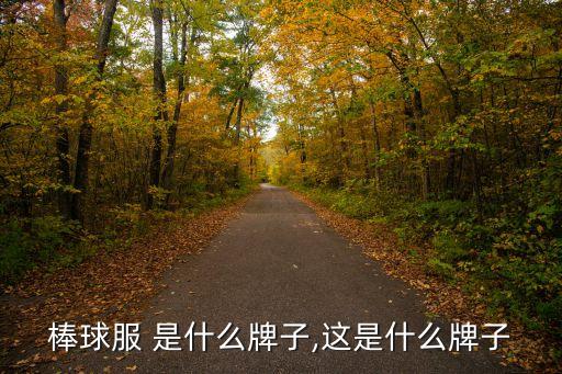 仙鹤棒球服 是什么牌子,这是什么牌子?
