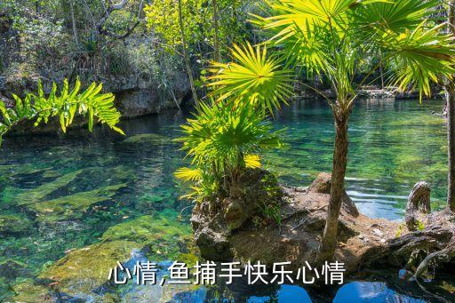 快乐心情,鱼捕手快乐心情