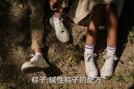 粽子,碱性粽子的配方