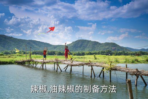 辣椒,油辣椒的制备方法