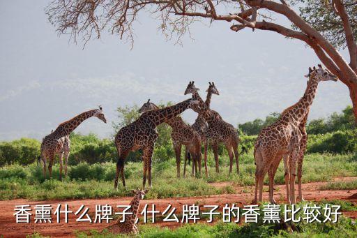 香熏什么牌子,什么牌子的香薰比较好