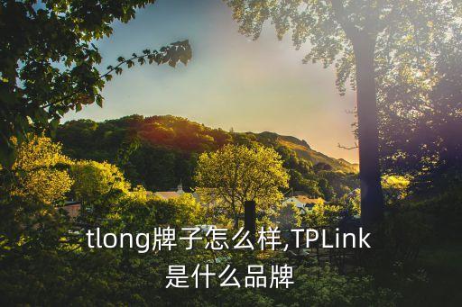 tlong牌子怎么样,TPLink是什么品牌