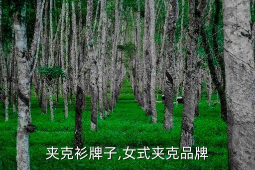 女生夹克衫牌子,女式夹克品牌
