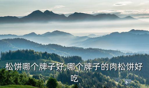 买肉松饼哪个牌子好,哪个牌子的肉松饼好吃?