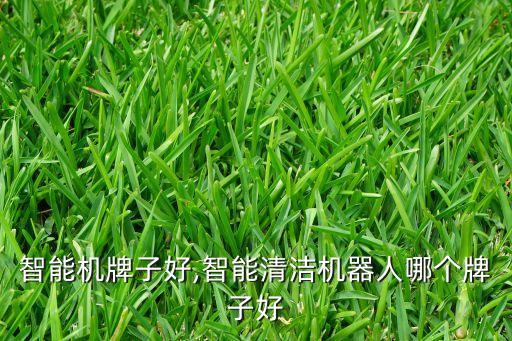 智能机牌子好,智能清洁机器人哪个牌子好