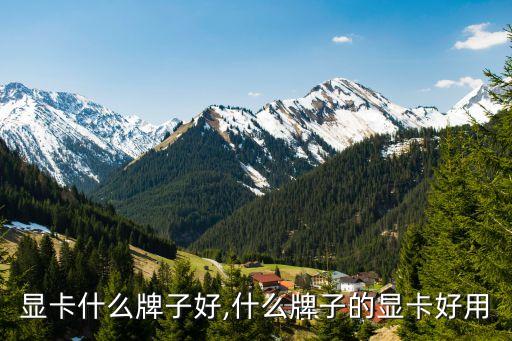 目前显卡什么牌子好,什么牌子的显卡好用?