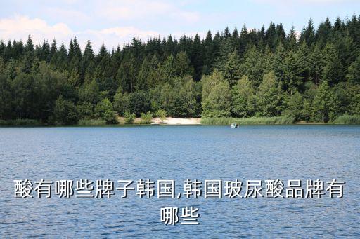 波尿酸有哪些牌子韩国,韩国玻尿酸品牌有哪些?