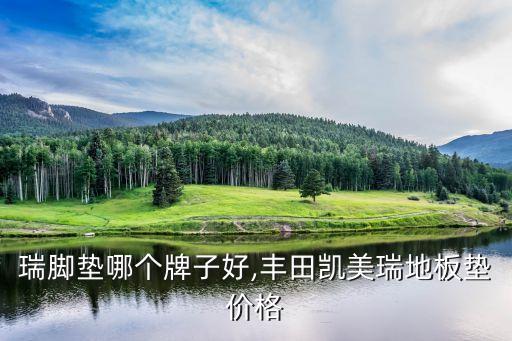 瑞脚垫哪个牌子好,丰田凯美瑞地板垫价格