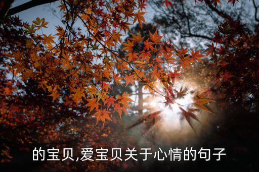 的宝贝,爱宝贝关于心情的句子