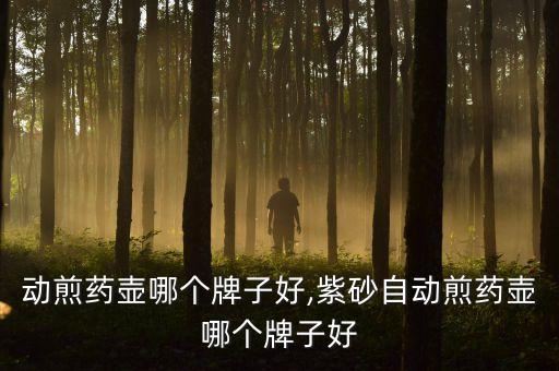 动煎药壶哪个牌子好,紫砂自动煎药壶哪个牌子好