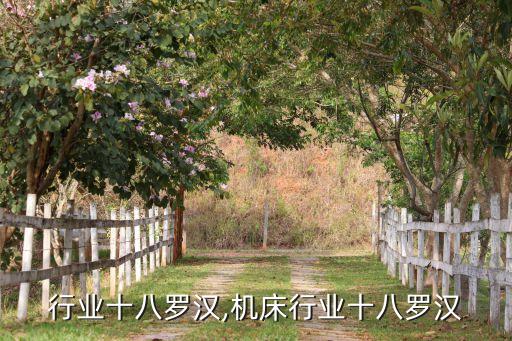 机械行业十八罗汉,机床行业十八罗汉