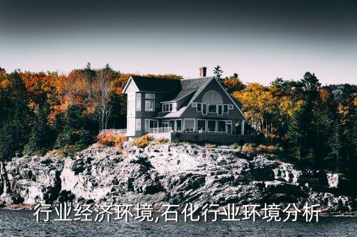 行业经济环境,石化行业环境分析