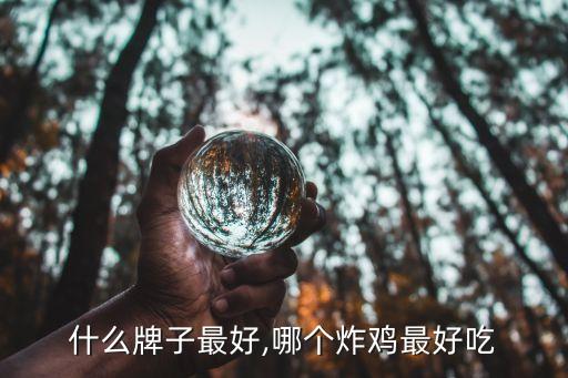 炸鸡什么牌子最好,哪个炸鸡最好吃?