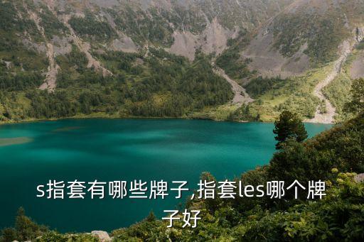 s指套有哪些牌子,指套les哪个牌子好