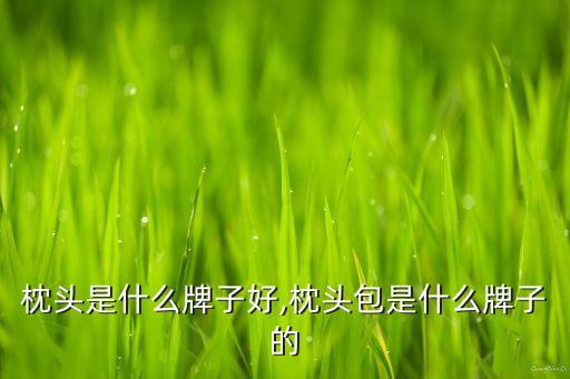 汽车枕头是什么牌子好,枕头包是什么牌子的?