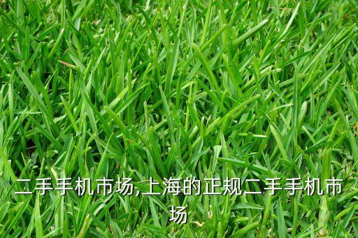 网上二手手机市场,上海的正规二手手机市场